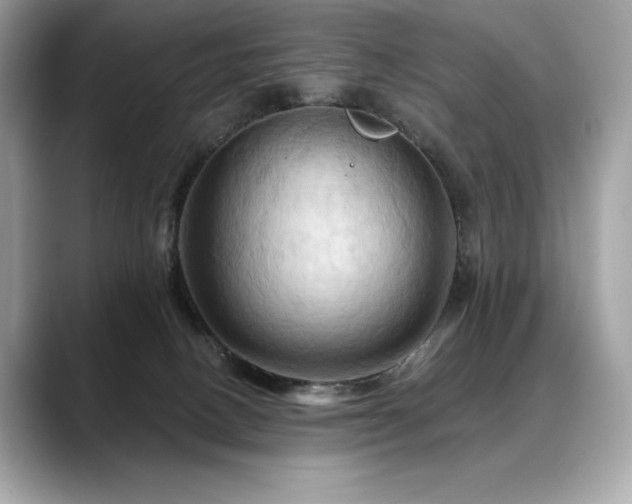 X0000088690082200705311204