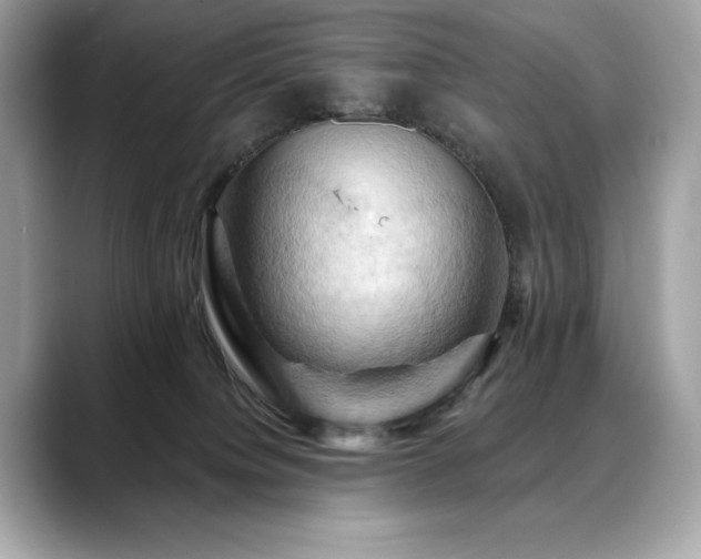 X0000088690084200705311204