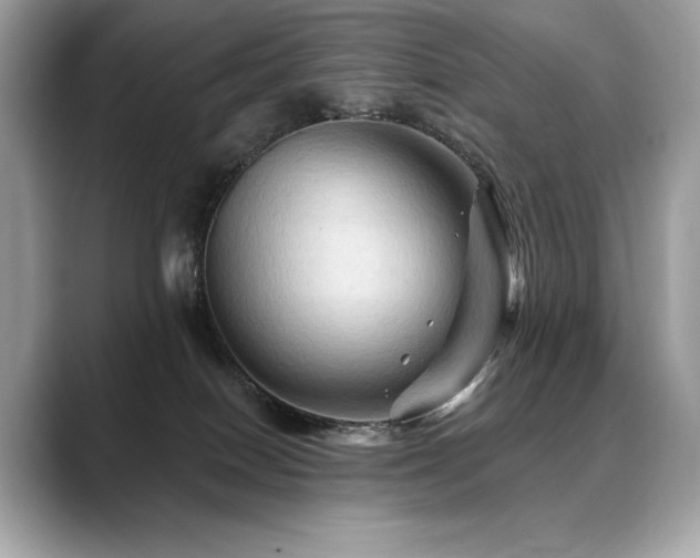 X0000088690086200705311204