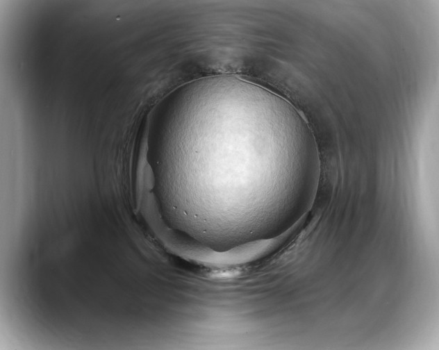 X0000088690088200705311204