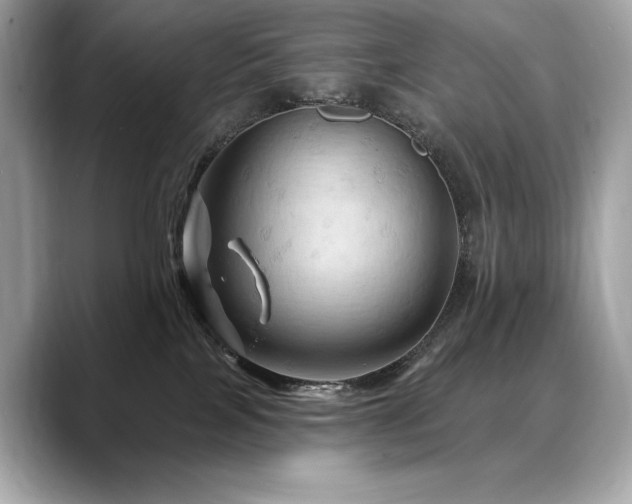X0000088690089200705311204