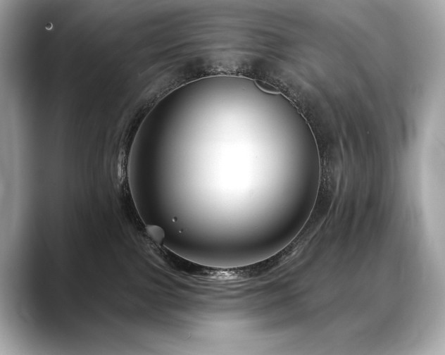 X0000088690091200705311204