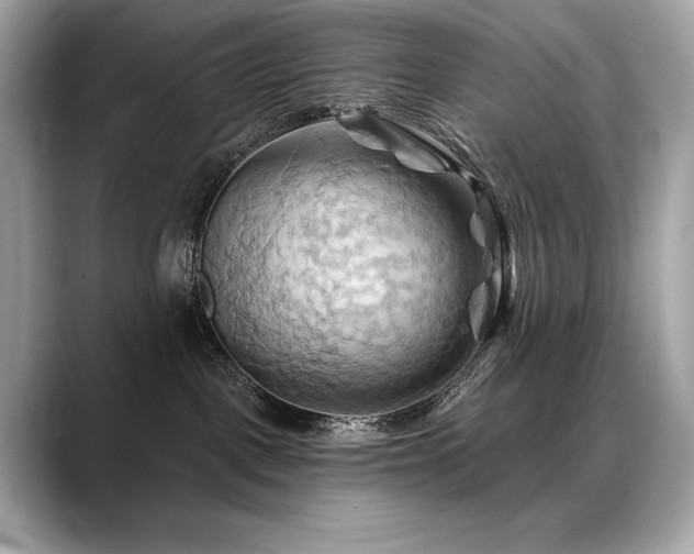 X0000088690093200705311204