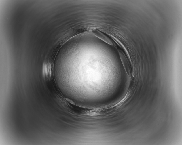 X0000088690094200705311204
