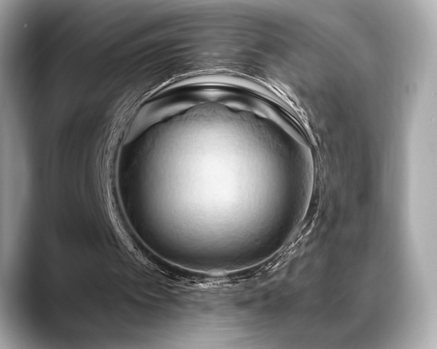 X0000088690097200705311204