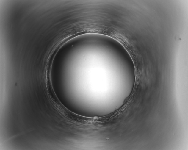 X0000088690098200705311204
