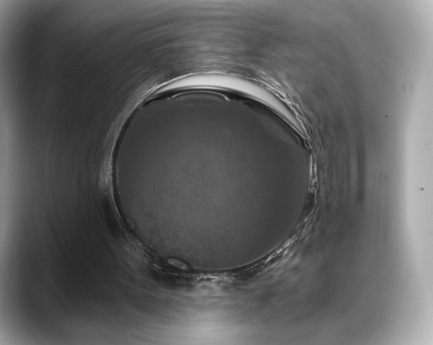 X0000088690099200705311204