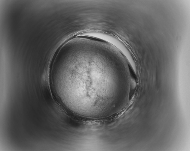 X0000088690100200705311204