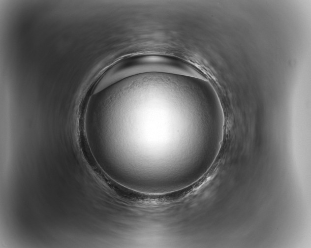 X0000088690101200705311204