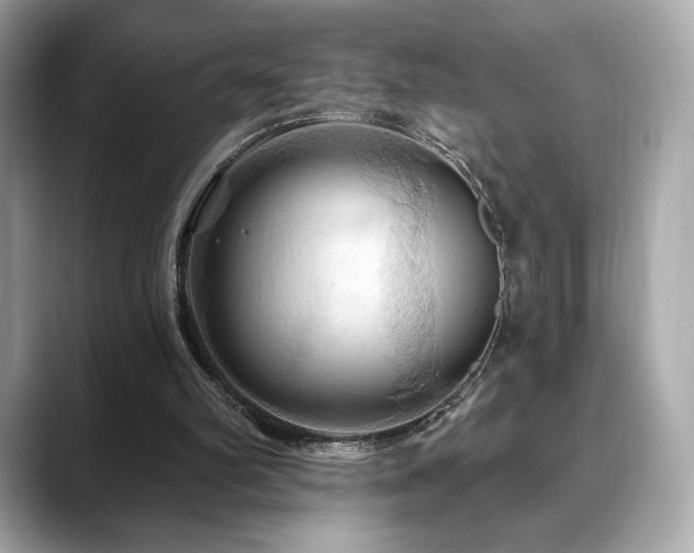 X0000088690102200705311204