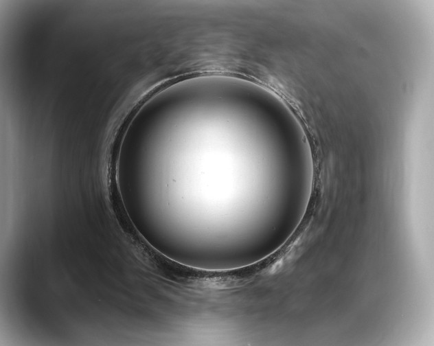 X0000088690103200705311204
