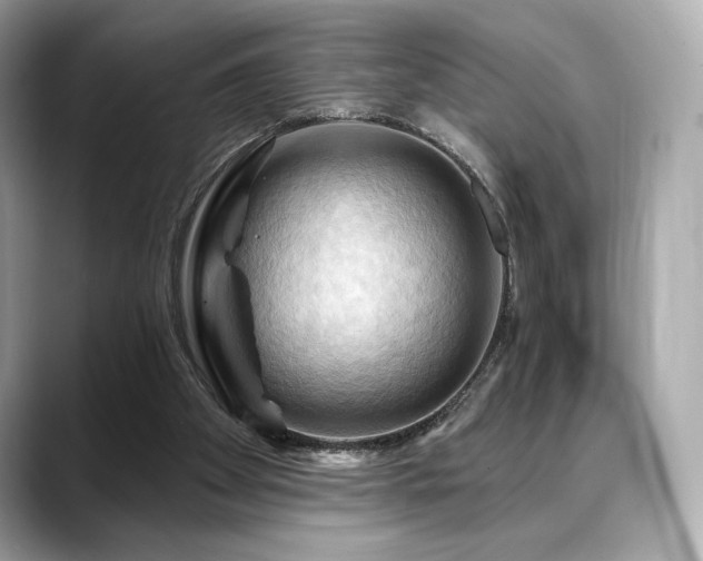 X0000088690105200705311204