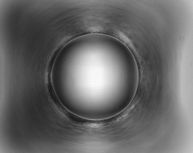 X0000088690106200705311204