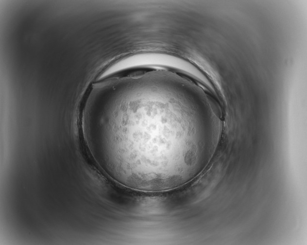 X0000088690107200705311204