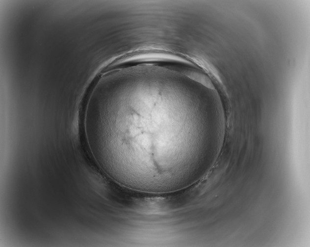 X0000088690108200705311204
