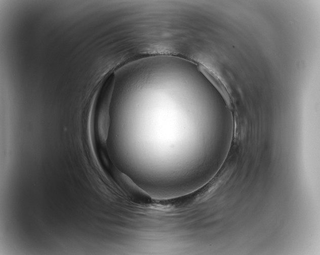 X0000088690109200705311204