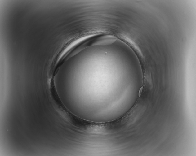 X0000088690110200705311204