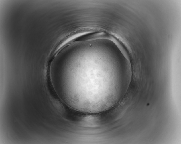 X0000088690111200705311204