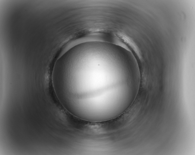X0000088690113200705311203