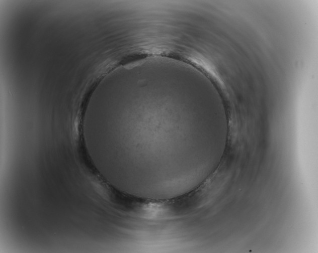 X0000088690114200705311203