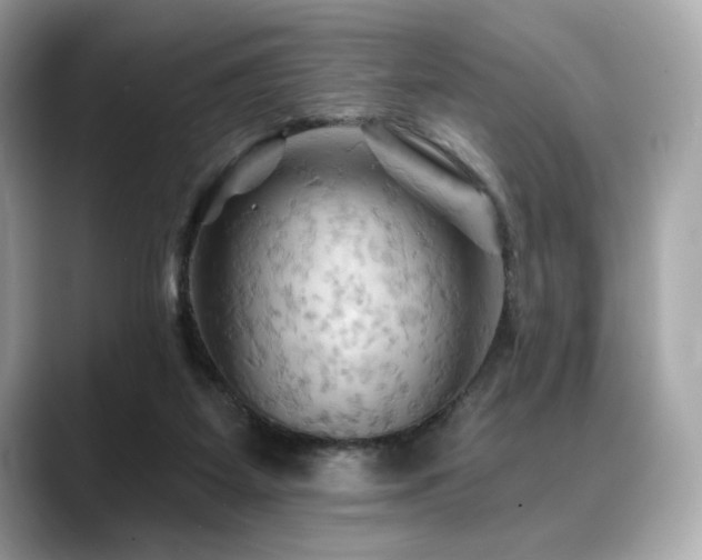 X0000088690115200705311203
