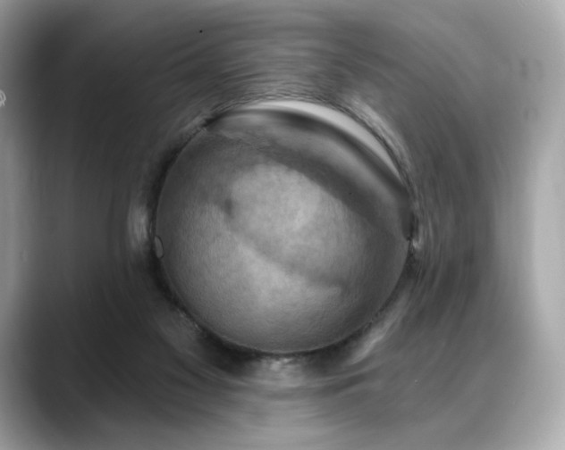 X0000088690117200705311203