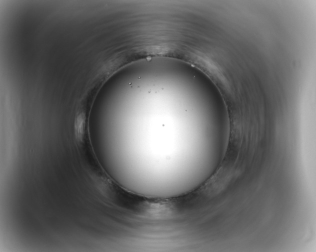 X0000088690118200705311203