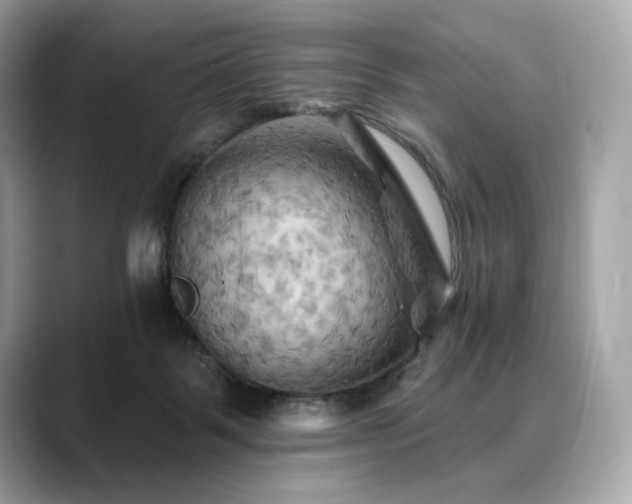 X0000088690123200705311203
