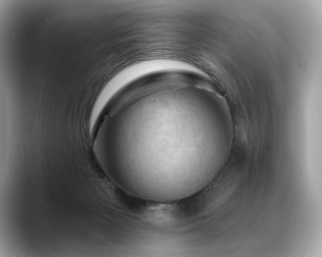 X0000088690125200705311203