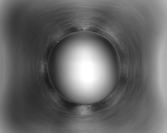 X0000088690126200705311203