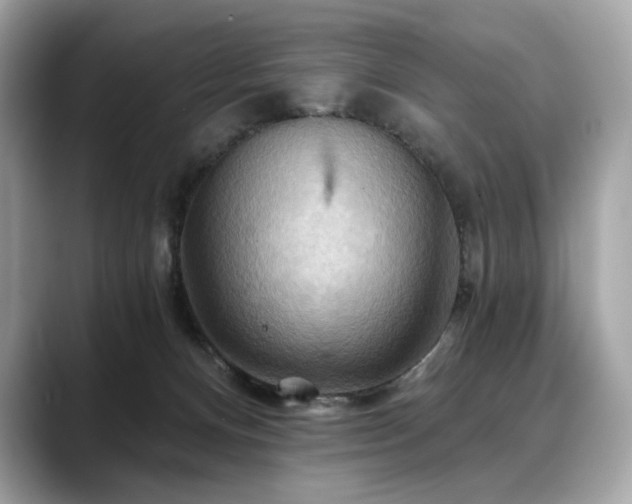 X0000088690128200705311203