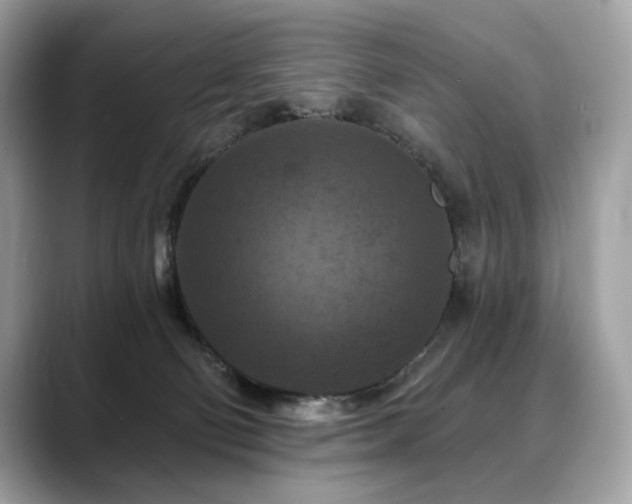 X0000088690130200705311203