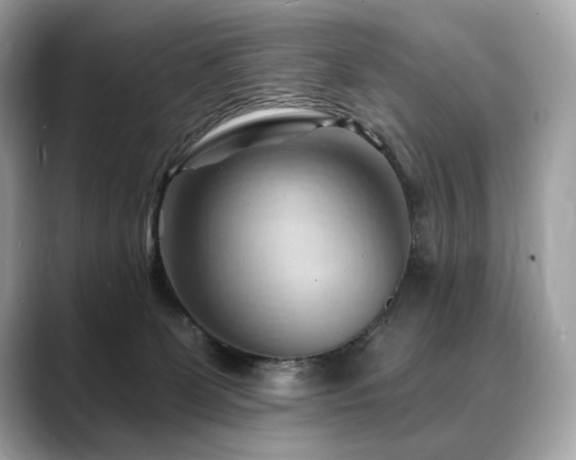 X0000088690131200705311203