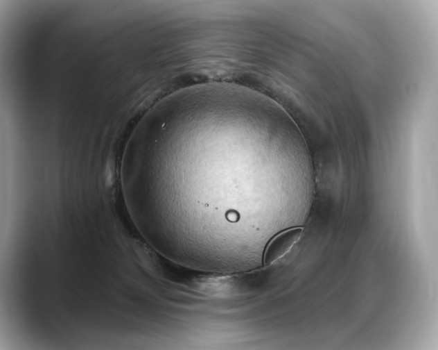 X0000088690132200705311203