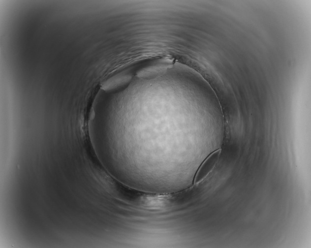 X0000088690134200705311203