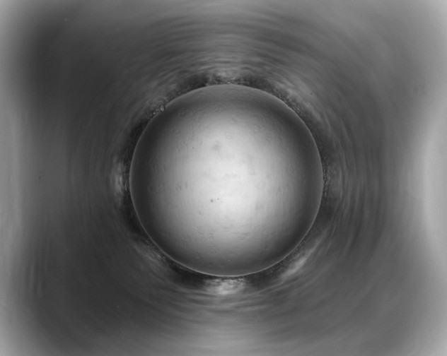X0000088690135200705311203