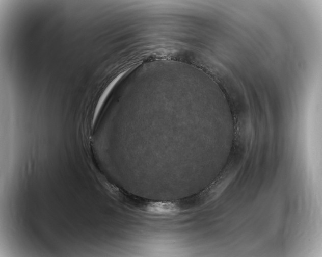 X0000088690137200705311203