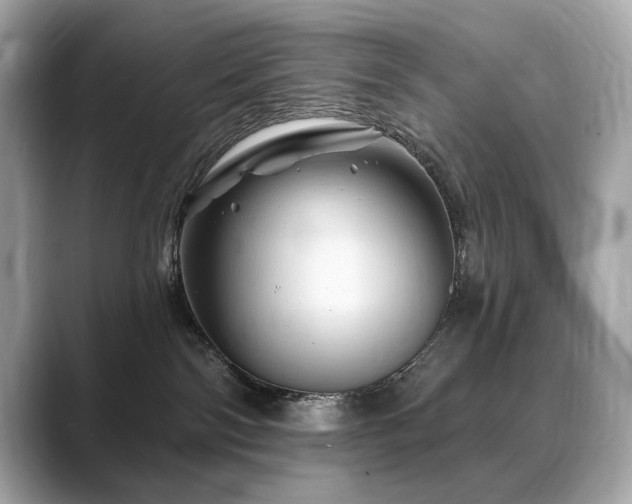X0000088690138200705311203