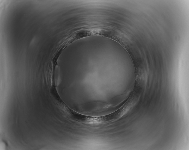 X0000088690139200705311203