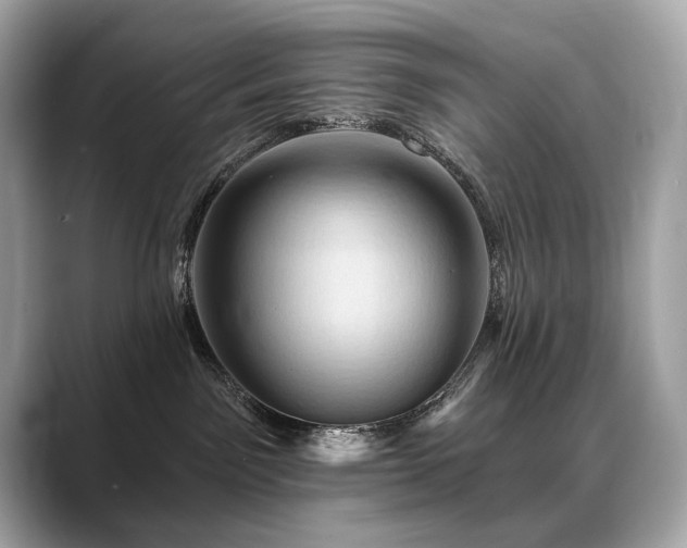 X0000088690141200705311203