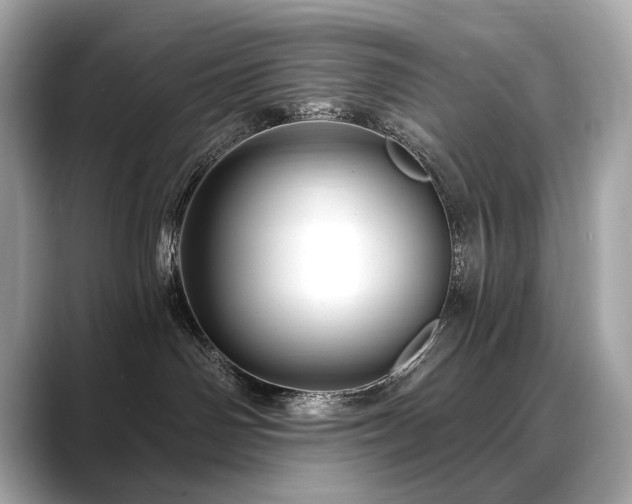 X0000088690142200705311203