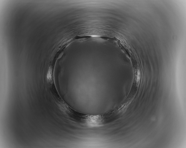 X0000088690143200705311203