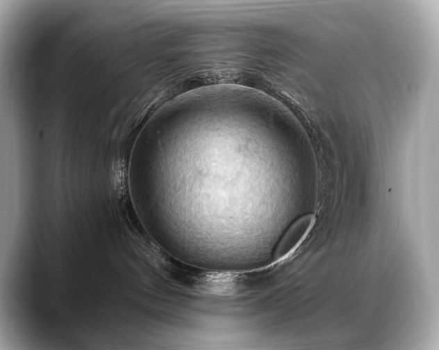 X0000088690144200705311203