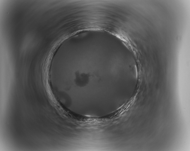 X0000088690145200705311203