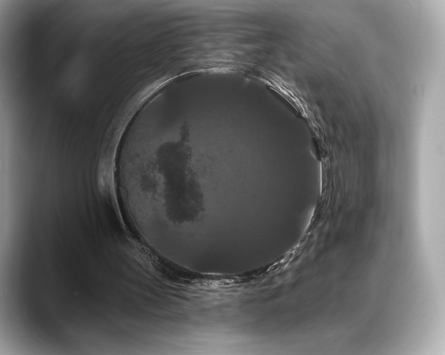 X0000088690147200705311203