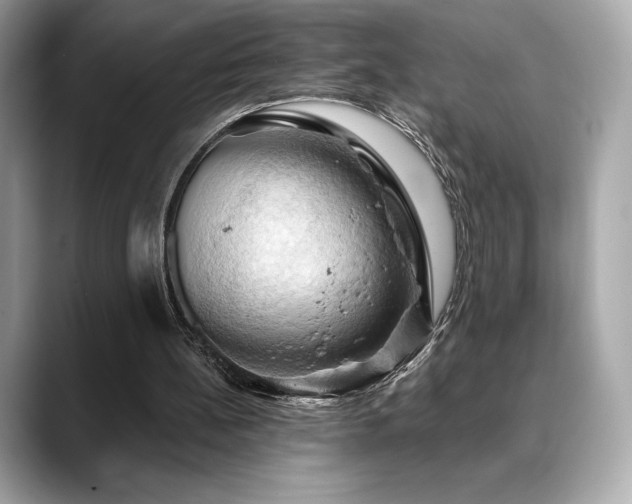 X0000088690148200705311203