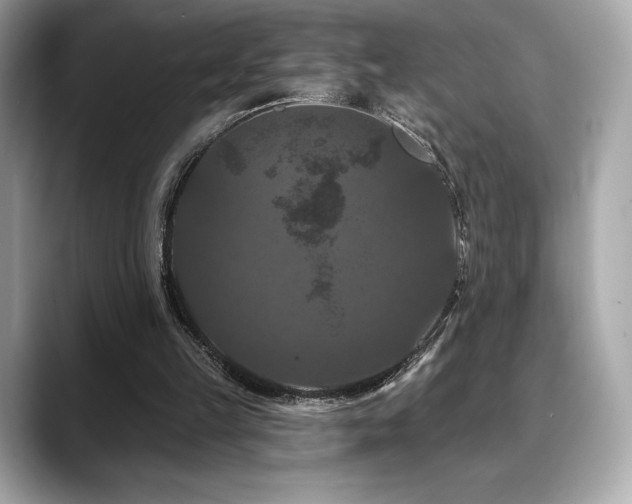 X0000088690149200705311203