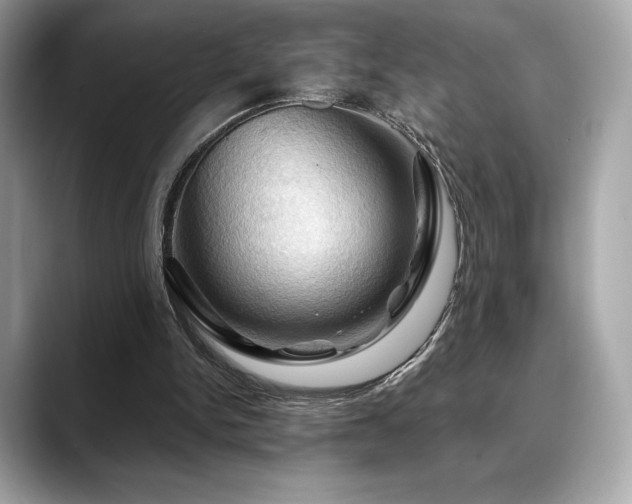 X0000088690150200705311203