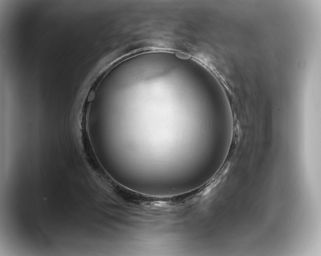 X0000088690151200705311203