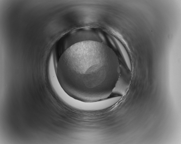 X0000088690154200705311203
